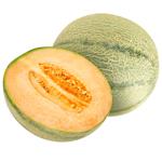 Cantaloupe Melon