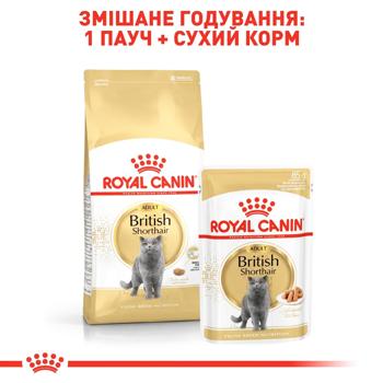 Корм сухой Royal Canin Adult для кошек породы британская короткошерстная 3,2кг+800г - купить, цены на - фото 5