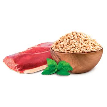 Home Food Dry Food with Duck and Chickpeas for Adult Dogs of Medium and Large Breeds 10kg - buy, prices for - photo 2