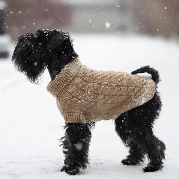 Noble Pet Antony Sweater for Dogs s.L Beige - buy, prices for MasterZoo - photo 7