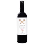 Вино Fattoria Viticcio Chianti Classico красное сухое 0,75л