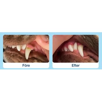 Лакомство ProDen PlaqueOff Dental Bites с овощами для ухода за полостью рта собак малых пород 60г - купить, цены на - фото 4