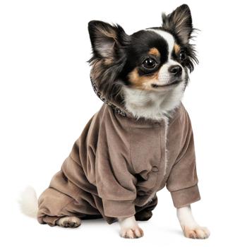 Костюм для собак Pet Fashion «Soft» S - купить, цены на MasterZoo - фото 2