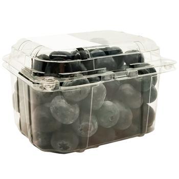 Blueberry Spain - buy, prices for - photo 3