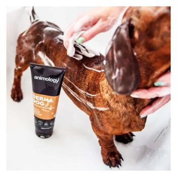 Shampoo Animology 250ml United kingdom - buy, prices for MasterZoo - photo 2