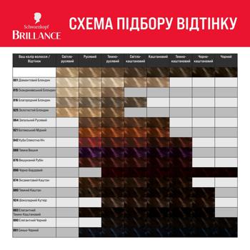 Brillance 869 Hair Dye Nutty Couture - buy, prices for - photo 9