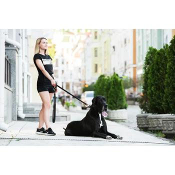 Collar Evolutor Leash 3m / 25mm Black - buy, prices for MasterZoo - photo 5