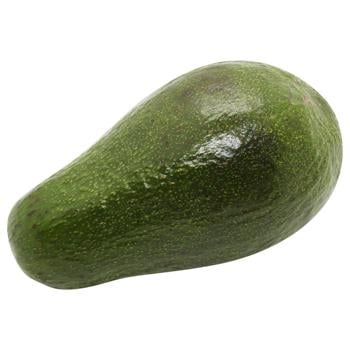 Avocado Caliber 16 - buy, prices for METRO - photo 1