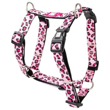 Leash Max and molly Germany - buy, prices for MasterZoo - photo 1