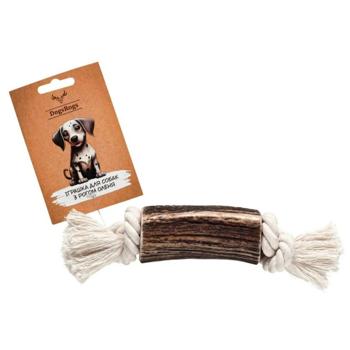Toy Dogsrogs - buy, prices for MasterZoo - photo 1