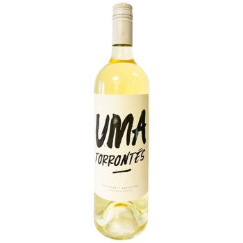 Вино Finca Agostino Uma Torrontes біле сухе 12,3% 0,75л - купити, ціни на Епіцентр FOOD - фото 1