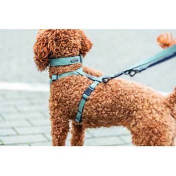 Leash Trixie Germany - buy, prices for MasterZoo - photo 2