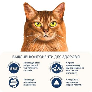 Home Food Dry Food with Turkey and Salmon for Healthy Skin and Coat of Cats 10kg - buy, prices for - photo 6