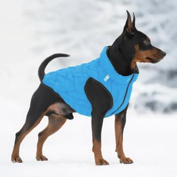 Курточка для собак AiryVest Uni р.S38 голубой-черный - купить, цены на - фото 8