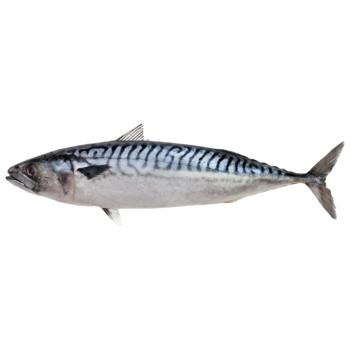 Fish Without brand - buy, prices for Epicentr FOOD - photo 1