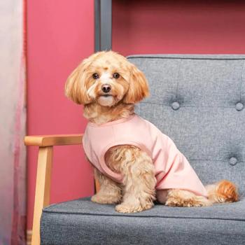 Pet Fashion Kale Tank Top For Dogs s.М Pink - buy, prices for MasterZoo - photo 3