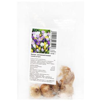 Mix Large-Flowered Crocus Bulbs 4pcs