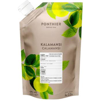 Ponthier Calamansi Puree 1kg - buy, prices for METRO - photo 1
