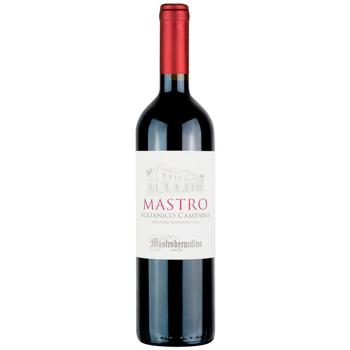 Вино Mastroberardino Mastro Aglianico Campania червоне сухе 12.5% 0,75л - купити, ціни на WINETIME - фото 1