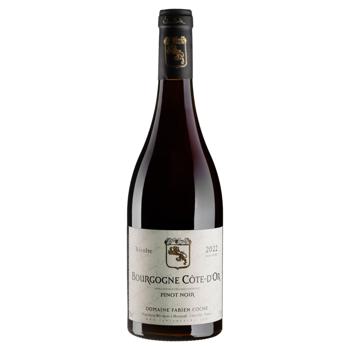 Domaine Fabien Coche Bourgogne Pinot Noir 2022 Dry Red Wine 12% 0.75l