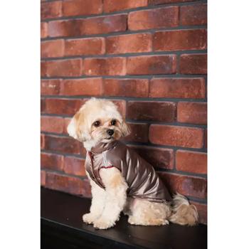 Vest - buy, prices for MasterZoo - photo 7