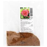 Луковица бегонии Пикоти Лейс Пинк 1шт