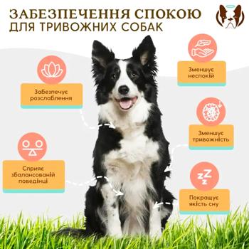 Natural Dog Company Calming Supplement Vitamins for Dogs 90pcs - buy, prices for MasterZoo - photo 2