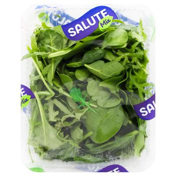 Salute Arugula with Spinach Lettuce Mix 75g - buy, prices for EKO Market - photo 2