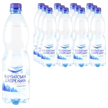 Karpatska Dzherelna Highly Carbonated Mineral Water 0.5l - buy, prices for Epicentr FOOD - photo 2