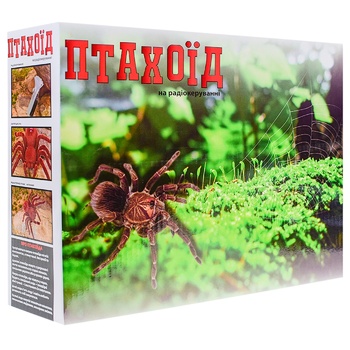 Spider on Radio Control Toy - buy, prices for Tavria V - photo 3