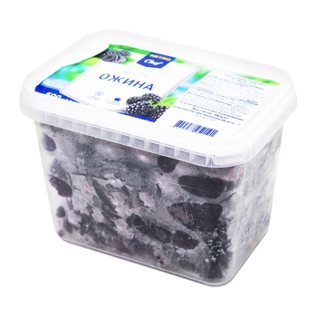 Metro Chef Frozen Blackberry 500g - buy, prices for METRO - photo 1