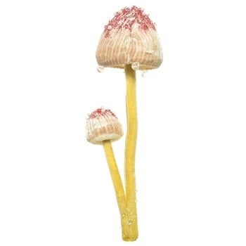 Decorative Figure Mushroom Corduroy 21cm in stock - buy, prices for - photo 5