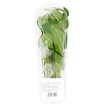 Metro Chef Fresh Mint 50g
