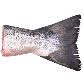 Salmon Tail Part 5+ - buy, prices for METRO - photo 1