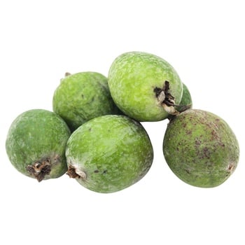 Feijoa