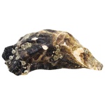 Устрица La Sublime №2