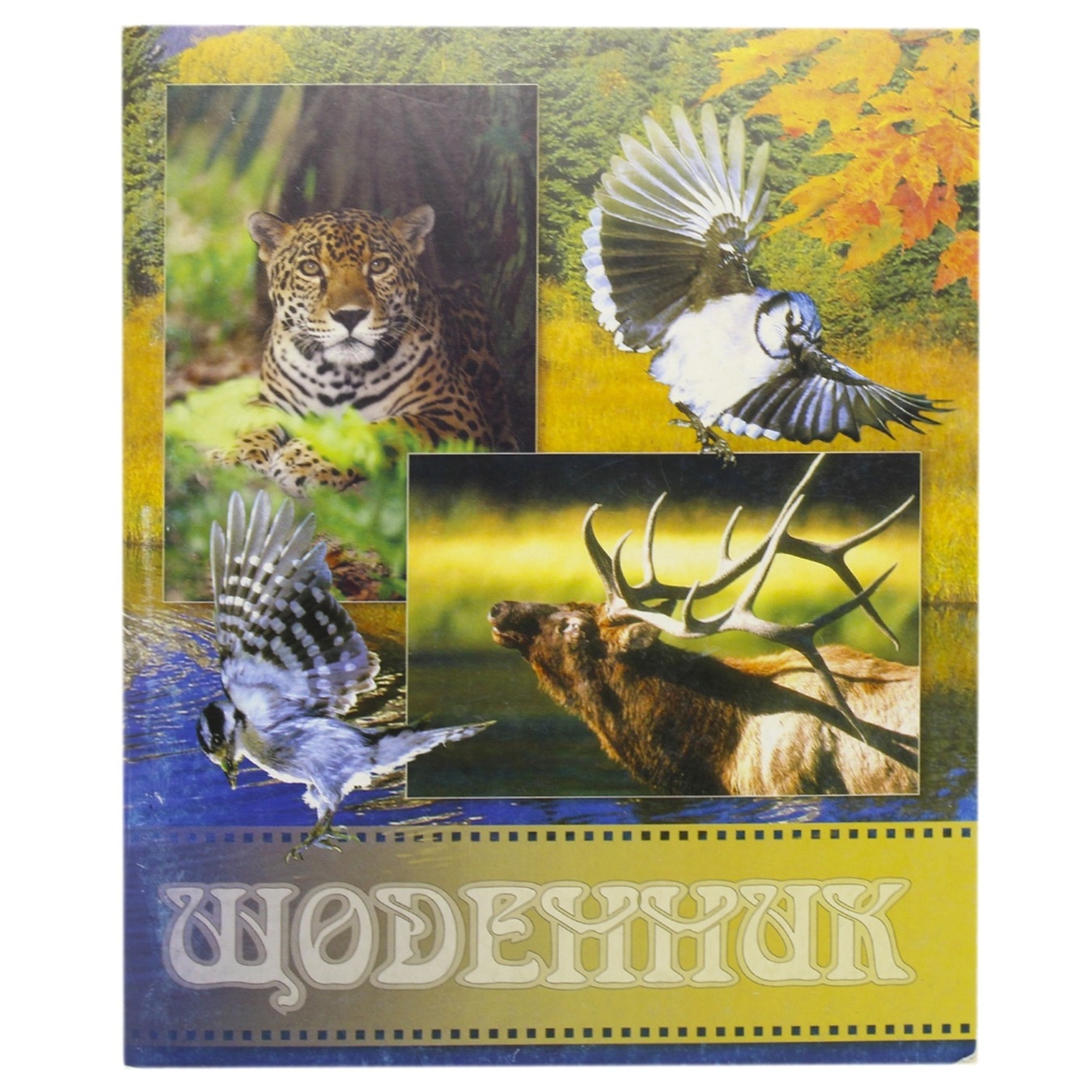 

Дневник школьный