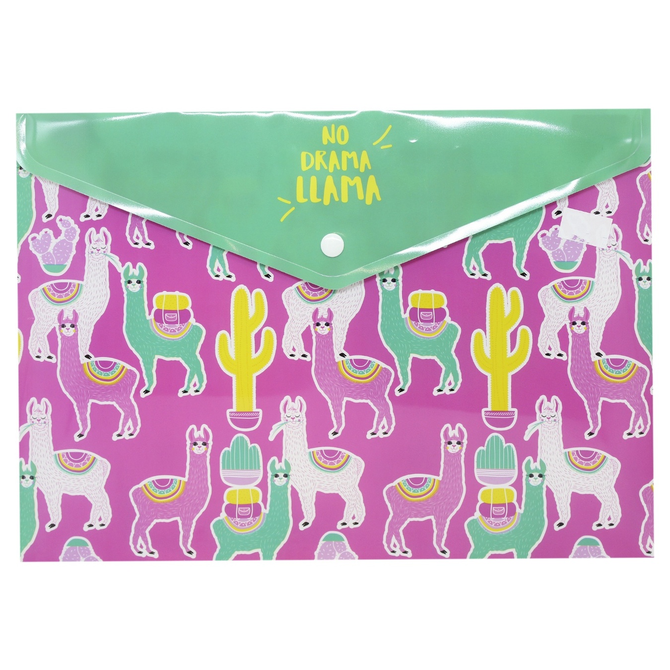 

Папка-конверт А4 Cool for school на кнопке World Cat Day