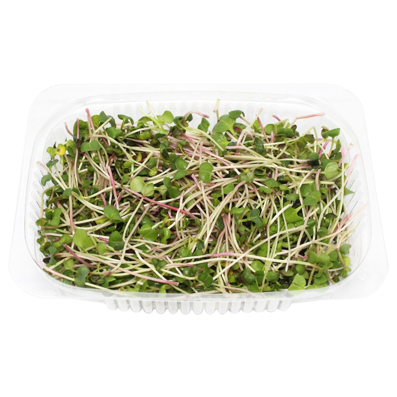 

Микрозелень SkyGreen редис 50г