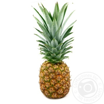 Pineapple 5.6