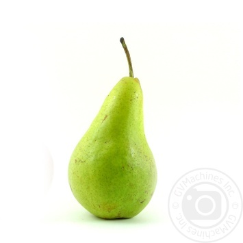 Abbat pear