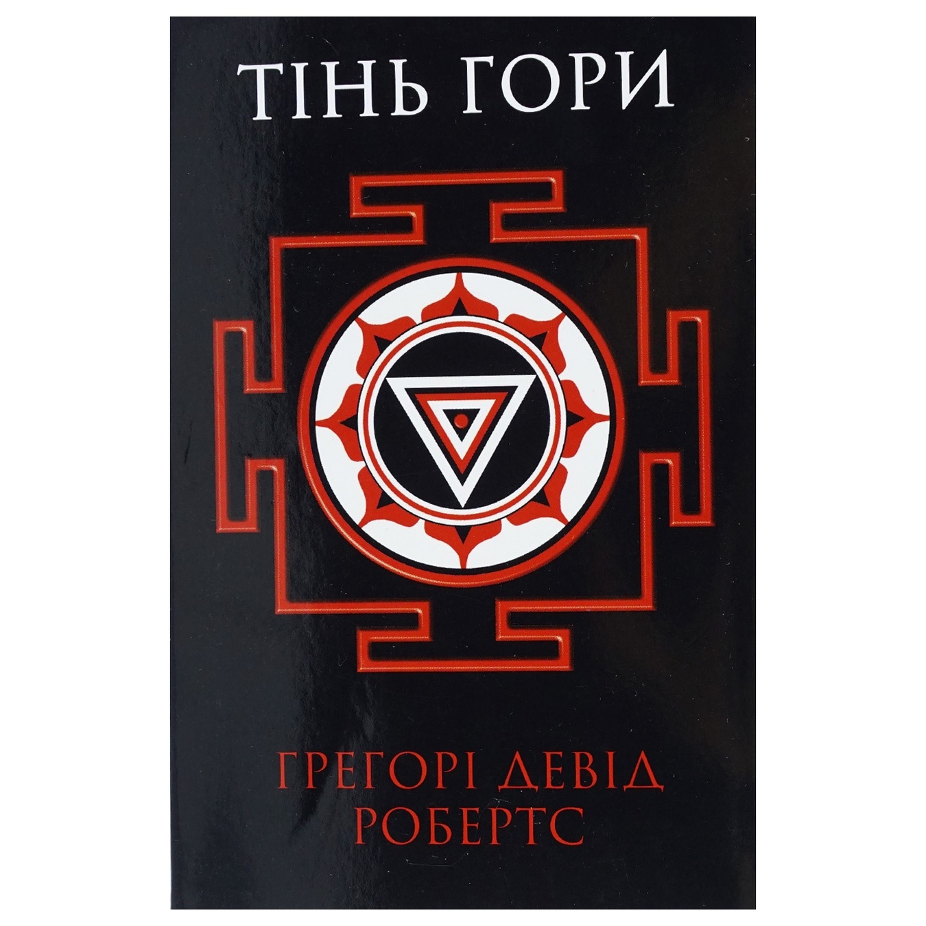

Книга Тень горы