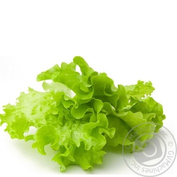 Greens lettuce Without brand fresh Ukraine - buy, prices for NOVUS - photo 4