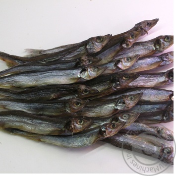 fish capelin rybnyy rai Ukraine - buy, prices for - photo 14