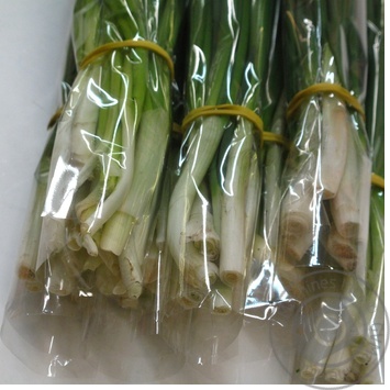 Scallions 50g - buy, prices for - photo 57