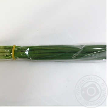 Scallions 50g - buy, prices for - photo 61