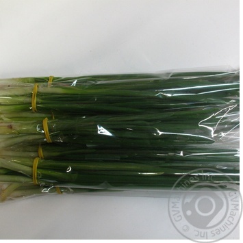 Scallions 50g - buy, prices for - photo 80