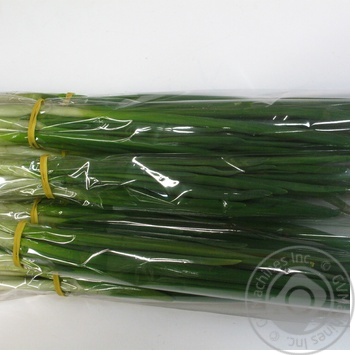 Scallions 50g - buy, prices for - photo 79