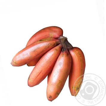 Fruit banana red fresh - buy, prices for NOVUS - photo 1