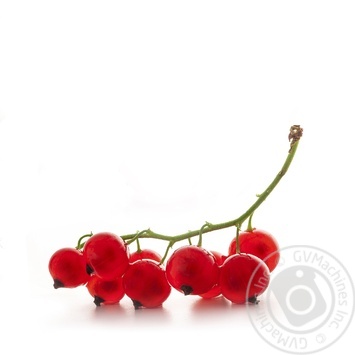 Red Currant 150g